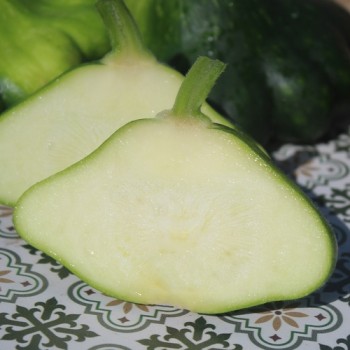 Patisson Okra (Samen)
