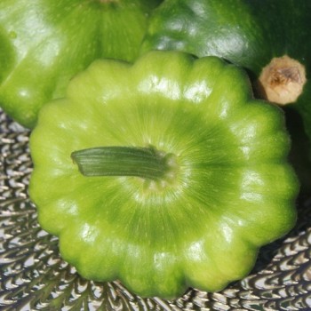 Patisson Okra (Samen)