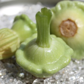 Patisson Vert et Blanc (Samen)