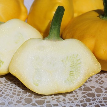 Patisson Yellow (Samen)