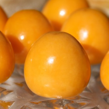 Andenbeere Columbia Cherry (Samen)