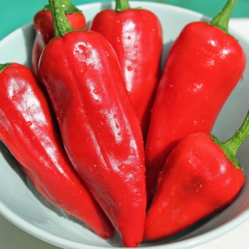 Chili Piment d'Espelette (Schärfe 4) (Samen)