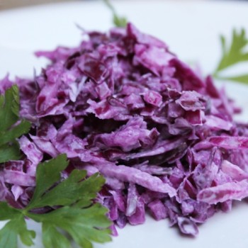 Rotkohl Langedijker Sommer (Samen)