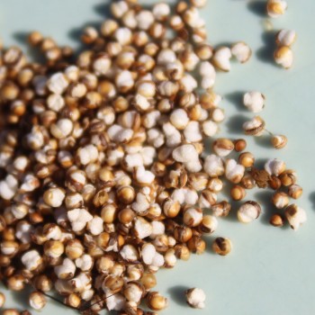 Popp-Amaranth Mercado (Samen)