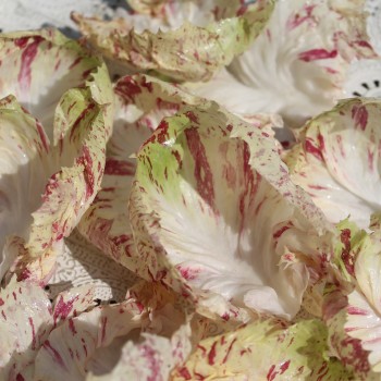 Radicchio Variegata di Lusia (Samen)