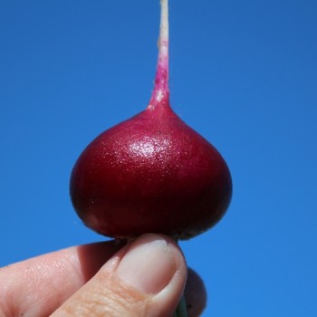 - Kopie - Kopie - Kopie