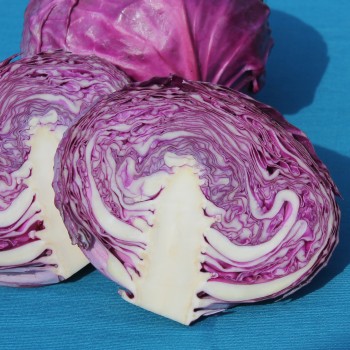 Rotkohl Cabeza Negra (Samen)