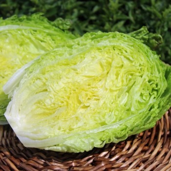 Neu! Salat Chrystal (Samen)