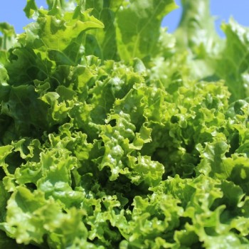 - Kopie - Kopie - Kopie - Kopie