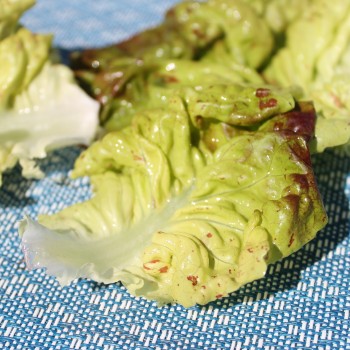 Salat Jugoslawischer Roter Butterkopf (Samen)