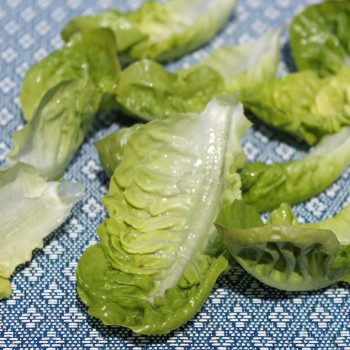 Salat Little Gem (Samen)