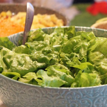 Salat Little Gem (Samen)