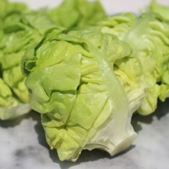 Salat Meraviglia d’Inverno (Wintersalat) (Samen)