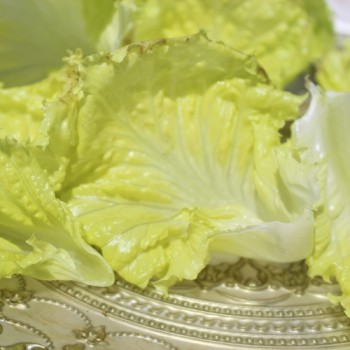 Salat Unicum (Samen)