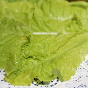 Pflücksalat Australischer Zartblättriger (Samen)