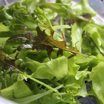 - Kopie - Kopie - Kopie - Kopie