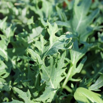 - Kopie - Kopie - Kopie - Kopie - Kopie