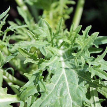 - Kopie - Kopie - Kopie - Kopie - Kopie