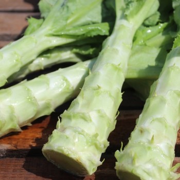 Spargelsalat Wo Sun (Samen)