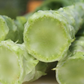 Spargelsalat Wo Sun (Samen)