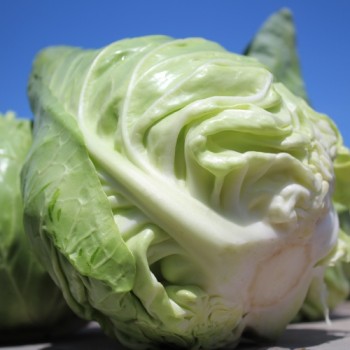 Spitzkohl Cuor di Bue (Samen)