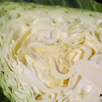 Spitzkohl Durham Early (Samen)
