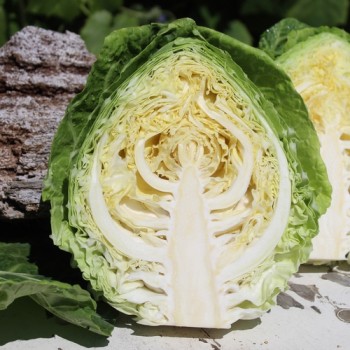Spitzkohl Durham Early (Samen)