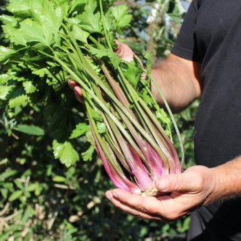 - Kopie - Kopie - Kopie - Kopie - Kopie