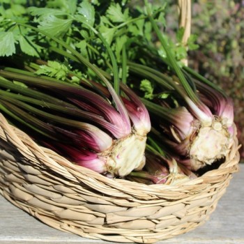 - Kopie - Kopie - Kopie - Kopie - Kopie