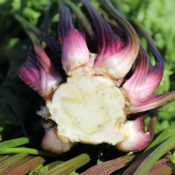 - Kopie - Kopie - Kopie - Kopie - Kopie