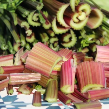 - Kopie - Kopie - Kopie - Kopie - Kopie