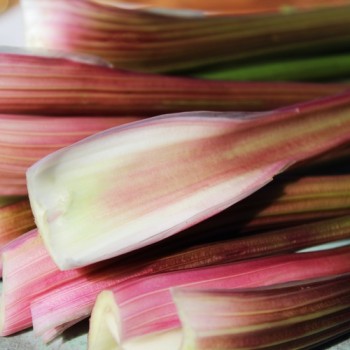 - Kopie - Kopie - Kopie - Kopie - Kopie