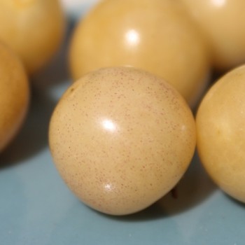 Sunberry (Samen)