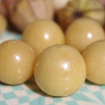 Sunberry (Samen)