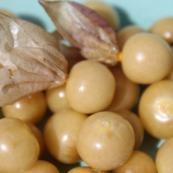Sunberry (Samen)