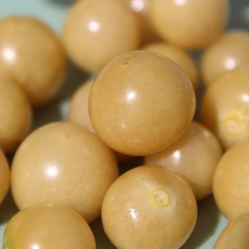 Sunberry (Samen)