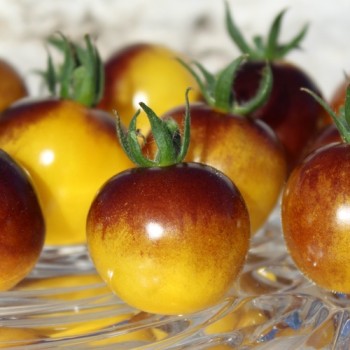 - Kopie - Kopie - Kopie