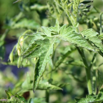 - Kopie - Kopie - Kopie