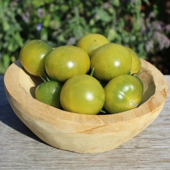 - Kopie - Kopie - Kopie