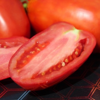 Tomate Big Ray’s Argentinian Paste (Soßentomate) (Samen)