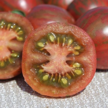 Tomate Black Vernissage (Samen)