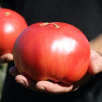 - Kopie - Kopie - Kopie - Kopie - Kopie - Kopie