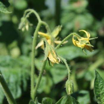 - Kopie - Kopie - Kopie - Kopie - Kopie - Kopie