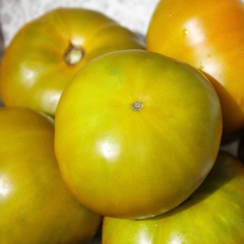Tomate Cherokee Green (Samen)