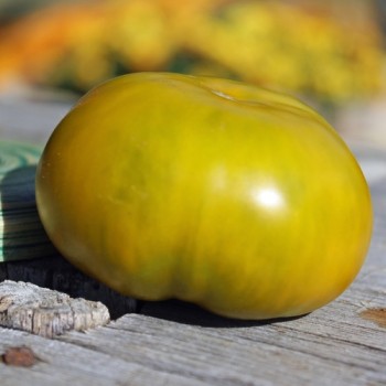 Tomate Cherokee Green (Samen)