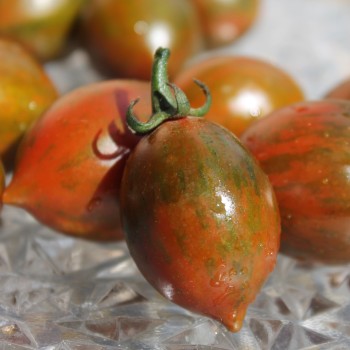 Tomate Cookie Select (Samen)