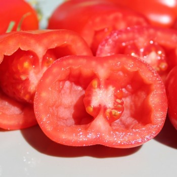 Tomate Czibis (Buschtomate) (Samen)