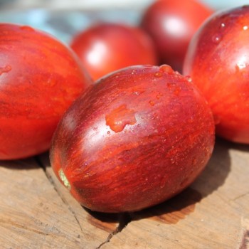 Tomate Damascus Steel (Samen)