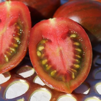 Neu! Tomate Datterino Nero (Samen)