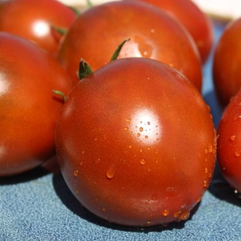 Tomate De Barao braun (freilandgeeignet) (Samen)
